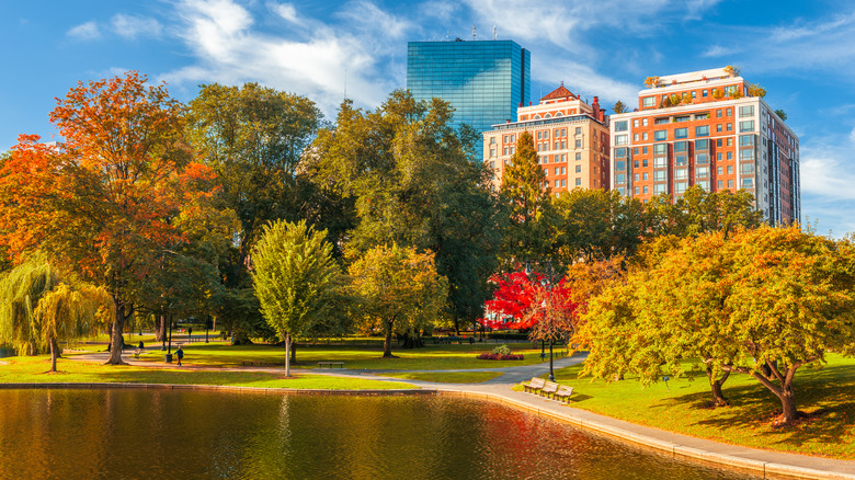 Near Boston Common in Autumn