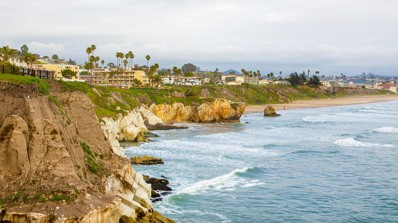 cliffs, palm trees, ocean