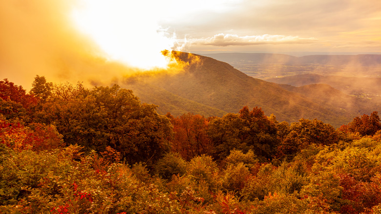 Shenandoah Valley in the fall
