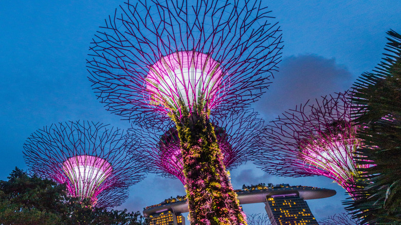 Singapore's Gardens by the Bay