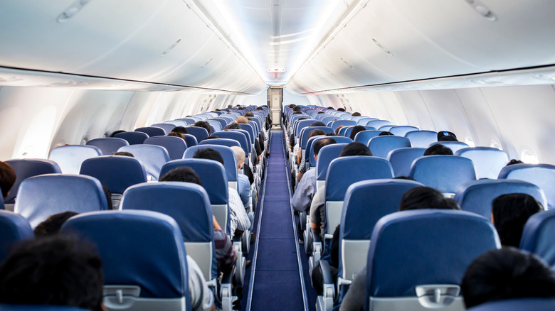 people sitting in rows on plane