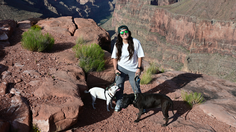 Hiker and dogs visiting the Grand Canyon