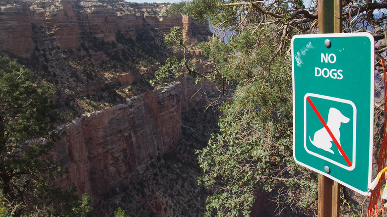 No dogs sign at the Grand Canyon