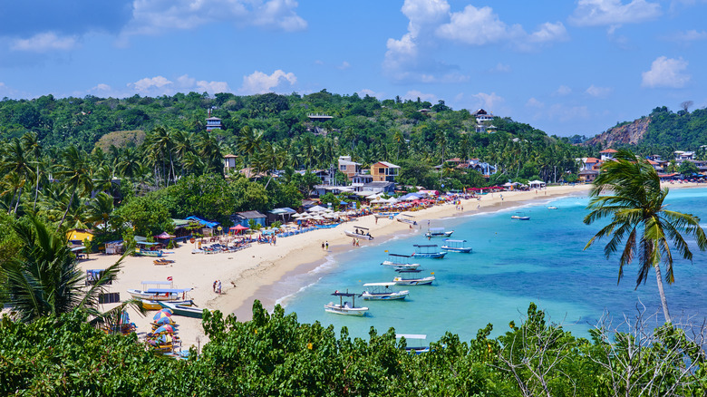 Pristine beach and jungle view