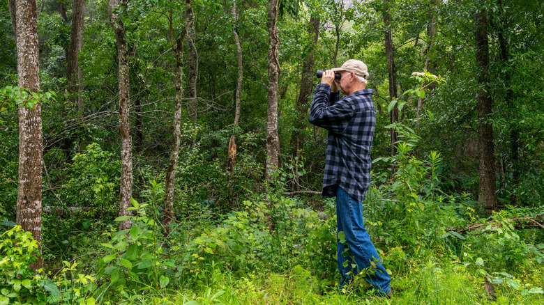 Man birdwatching in Texas woods