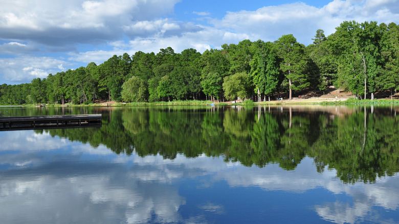 Beautiful reflection on an east Texas lake