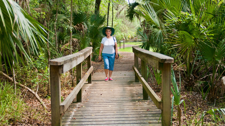 Visitor walking along boarded path