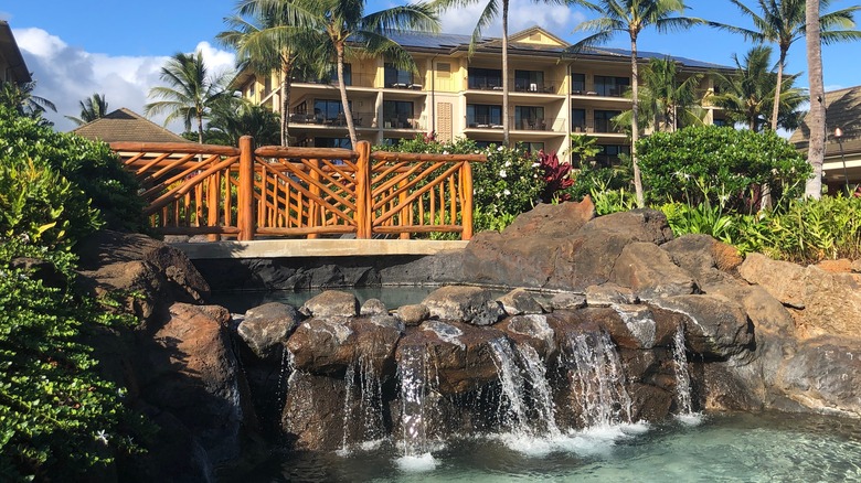 tropical resort with pool waterfall