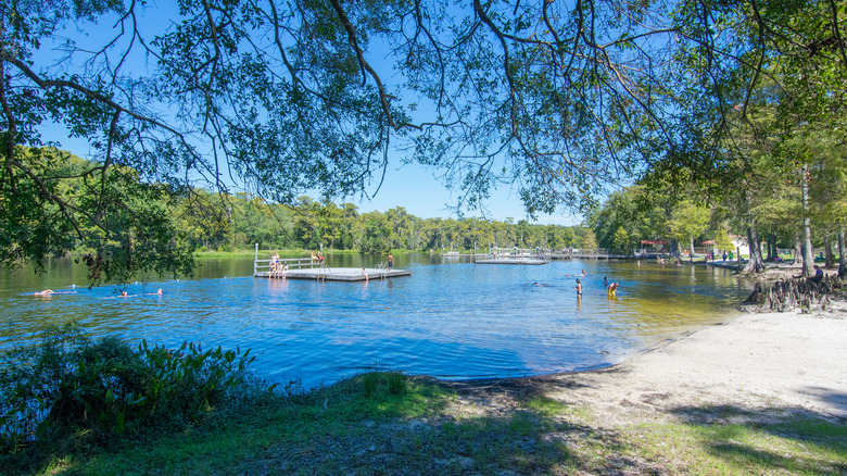 Visitors wade and swim in Wakulla Springs