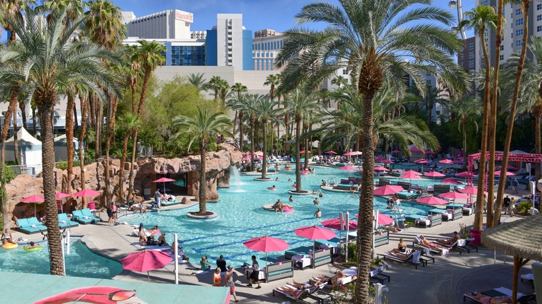 pool with umbrellas, palm trees