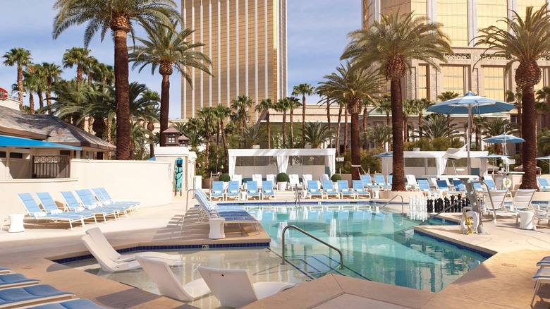 pool with chairs, palm trees