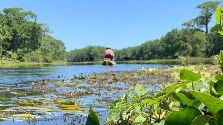 Kayaking on the Wacissa River