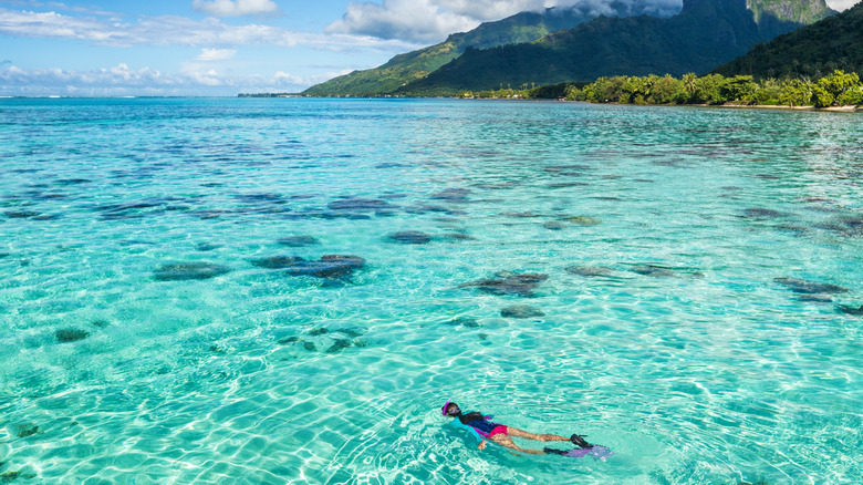 Woman snorkeling in Moorea, French Polynesia