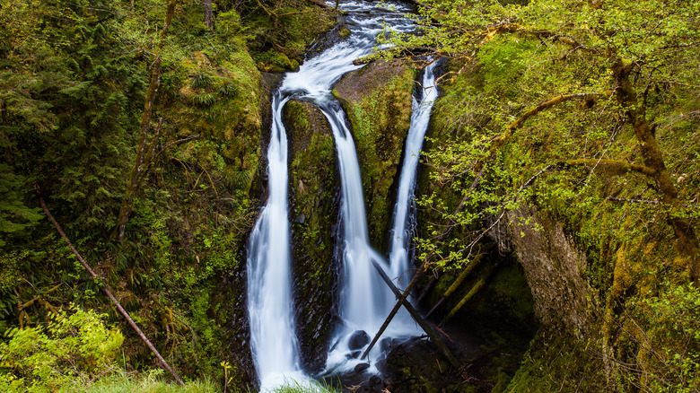 Triple Falls in Oregon