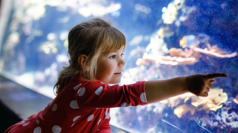 Toddler at an aquarium
