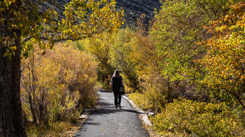 Woman on tree-lined road