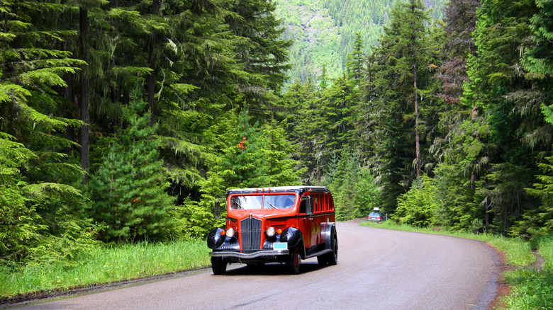 Red bus in Glacier National Park