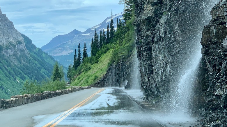 Glacier National Park's Weeping Wall