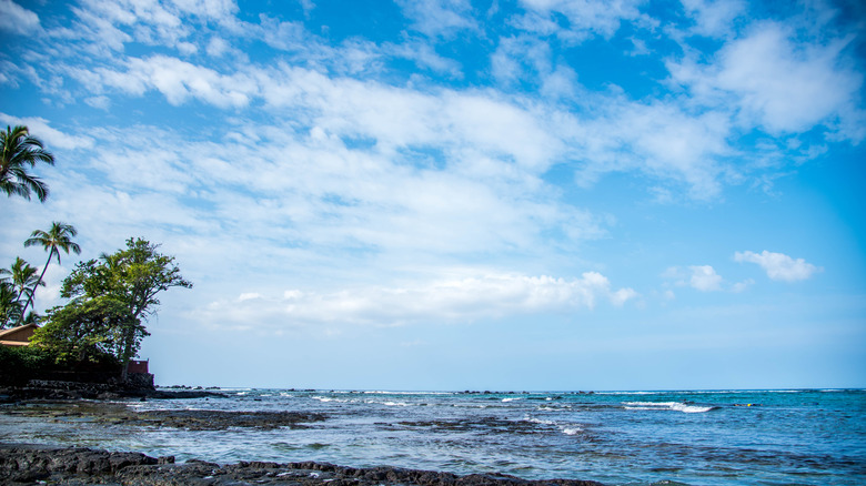 Kahalu'u Bay, Oahu