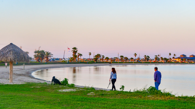 couple walking dog in Rockport