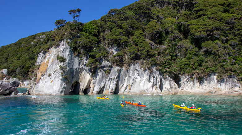Kayakers at Abel Tasman National Park