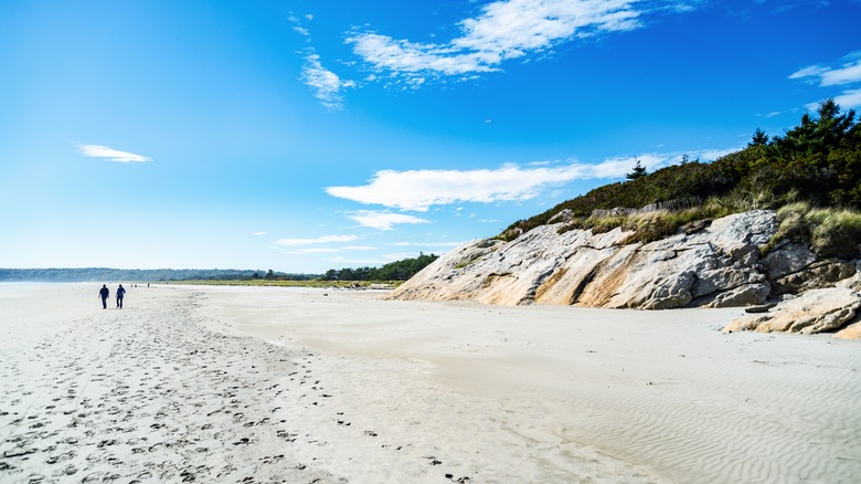 People walking on a beach 