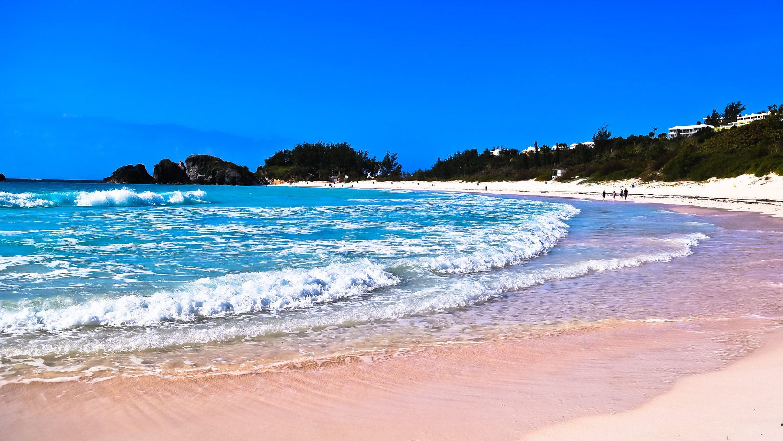 https://www.explore.com/img/gallery/take-in-beautiful-crystal-clear-water-and-pink-sand-views-at-this-popular-bermuda-beach/l-intro-1698662072.jpg