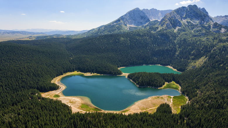 Lake surrounded by forests