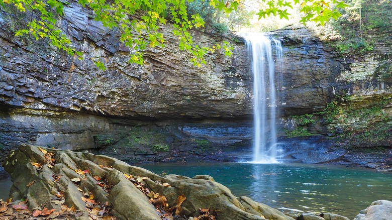 Hemlock Falls in Cloudland Canyon State Park