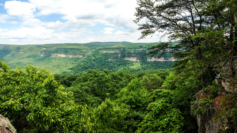 Cloudland Canyon, Georgia