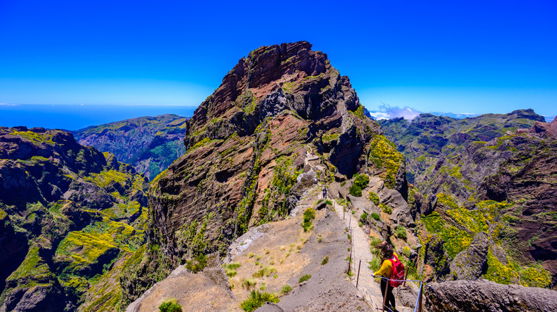 Woman looking from Pico Ruivo