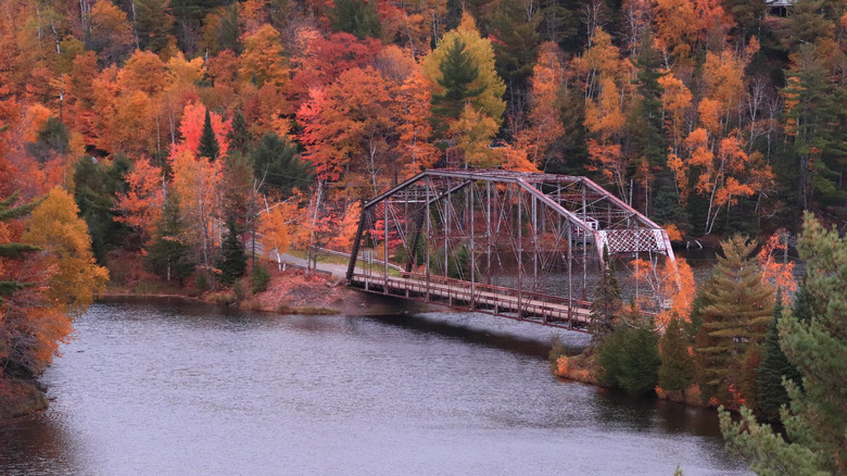 fall foliage in Marquette