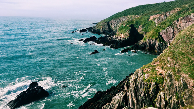 Cliffside of Ballycotton Cliff Walk