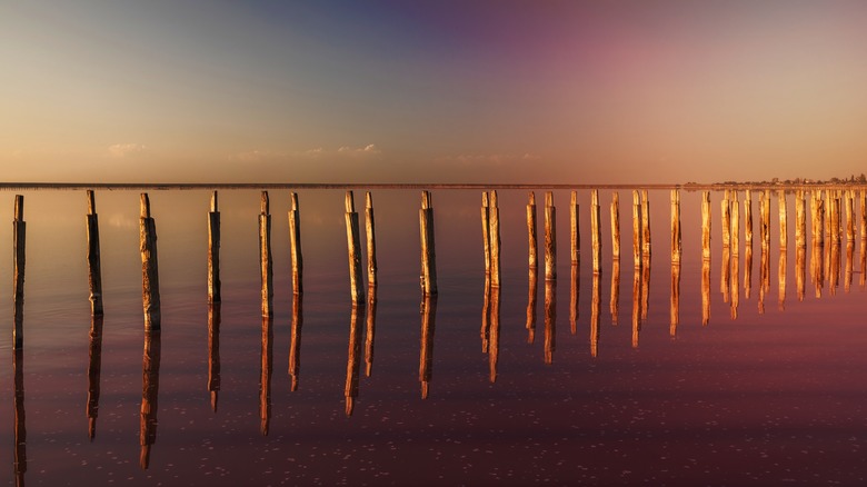 Pink water at sunset