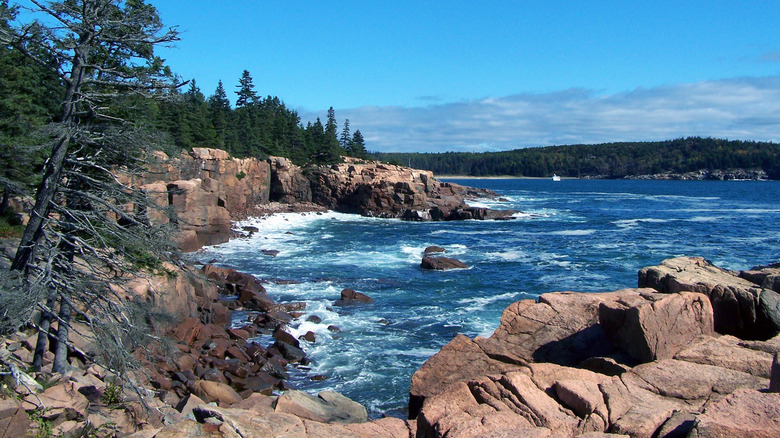 Park Loop Road, Acadia National Park