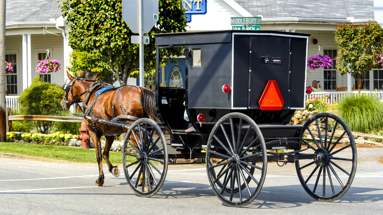 Amish horse and buggy in Shipshewana, Indiana