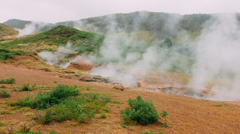 Hveragerði geothermal area steam plumes