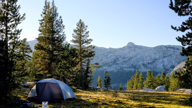 Camping in Yosemite National Park