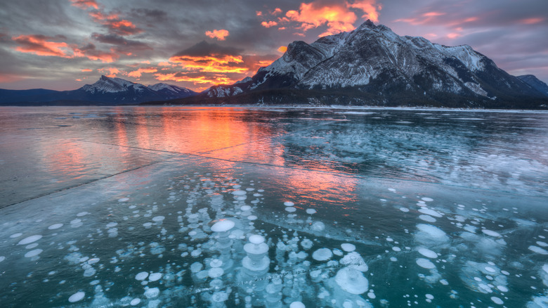 Abraham Lake bubbles