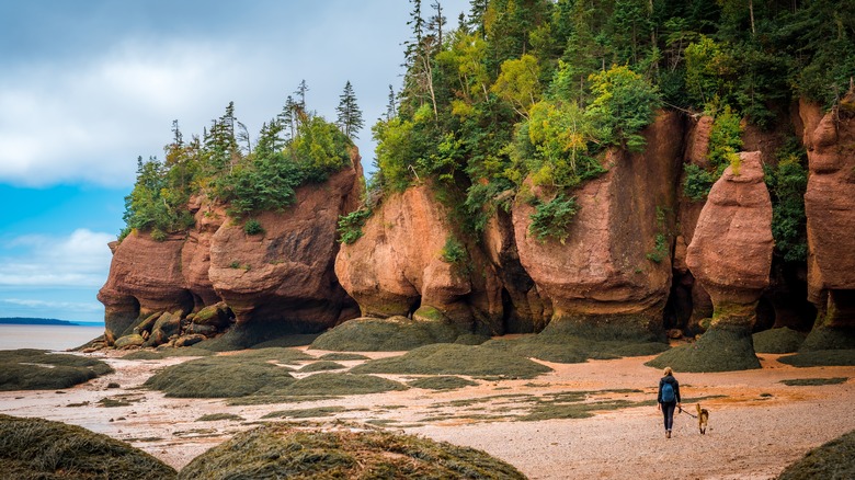 woman, dog at Bay of Fundy