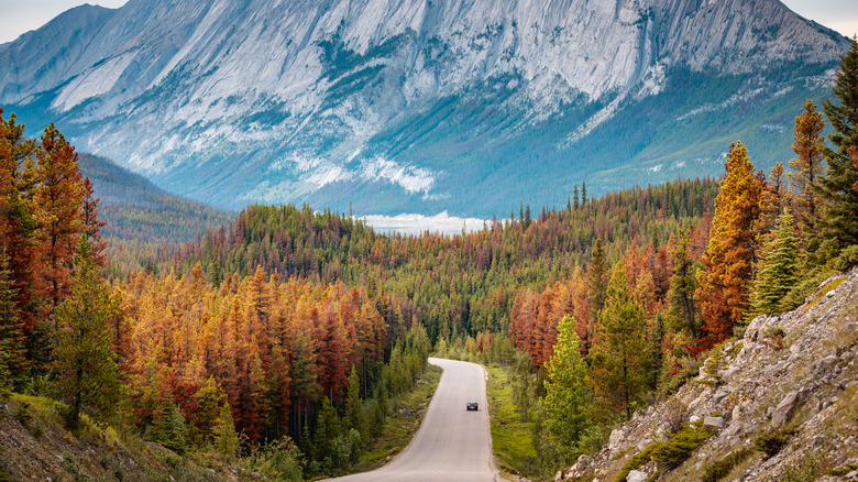 Icefields Parkway