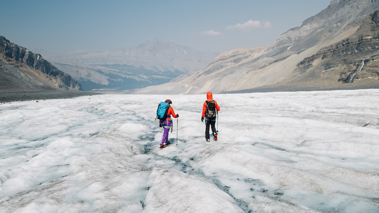 The Athabasca Glacier hikers