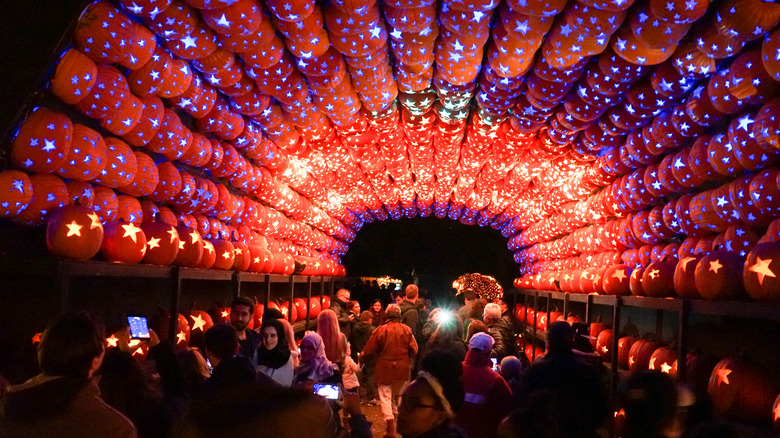 Great Jack O' Lantern Blaze