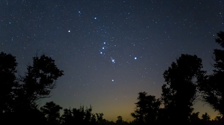 Starry night sky over forest