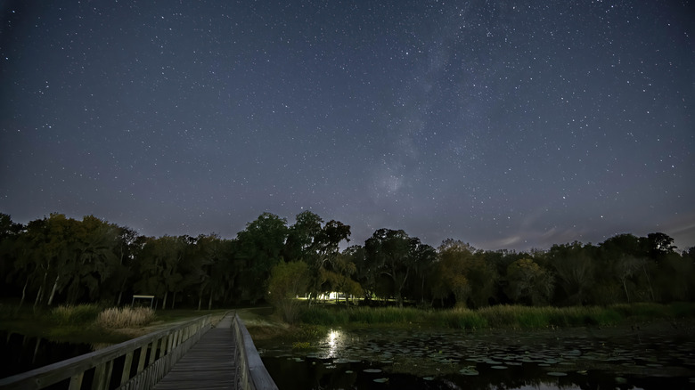 Brazos Bend State Park at night