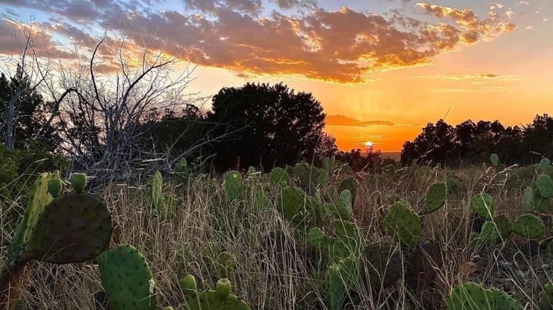 Sunset at South Llano River State Park