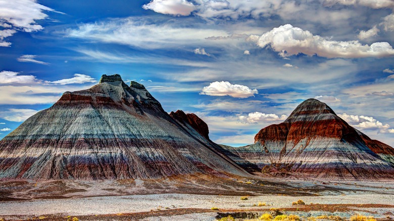 Views of the Petrified Forest