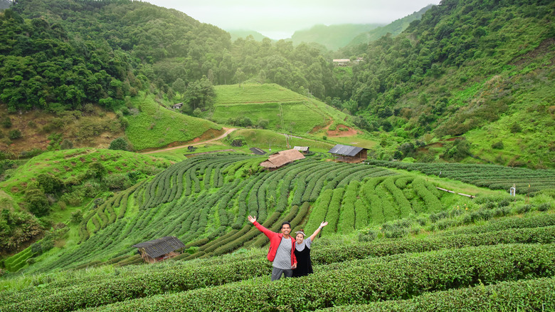 Couple in Chiang Mai