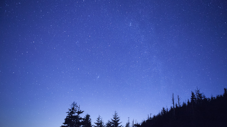 Starry sky at night