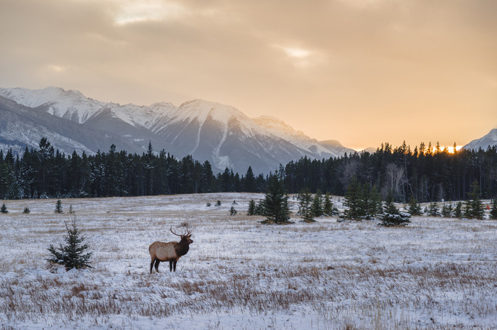 national parks to visit in winter